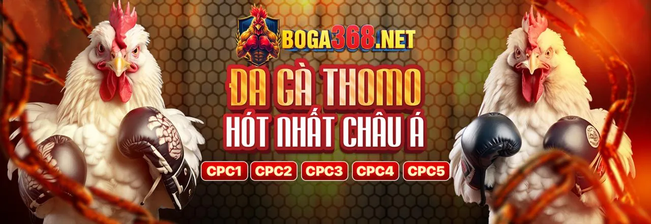 Đá Gà Trực Tuyến Helo88